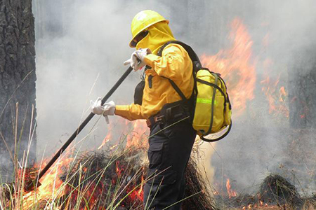 Conafor reporta dos incendios forestales activos en Guachochi y Maguarichi, Chihuahua. Brigadistas controlan el fuego en un 70% y 100%, afectando 16 hectáreas. La autoridad refuerza protocolos para mitigación.