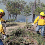 La Conafor reporta incendios forestales activos en Bocoyna y Balleza, Chihuahua, con brigadistas trabajando para su control y liquidación.