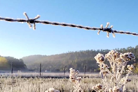 San Juanito registra -12.2°C, la temperatura más baja en Chihuahua. Basaseachi y Creel también reportan cifras bajo cero debido al frente frío 14.