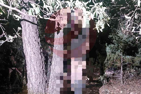 Autoridades localizaron el cuerpo de un hombre colgado de un árbol en el ejido Altamirano, Chihuahua. Las causas del fallecimiento aún no se confirman. La víctima no ha sido identificada, pero se estima tenía entre 40 y 45 años.