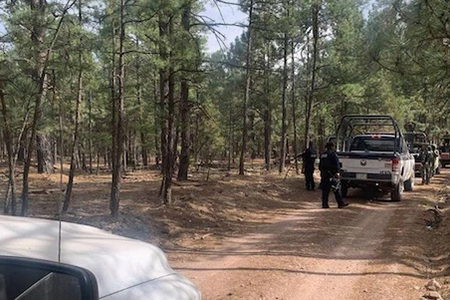 Los hombres encontrados ejecutados en Largo Maderal fueron identificados como Tomás y Miguel S. E., de 47 y 35 años, respectivamente. Eran hermanos. Autoridades municipales y la Fiscalía trabajan para dar con los responsables del crimen en esta zona de Madera.