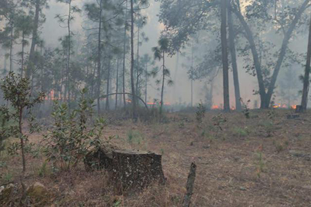 Incendio forestal en Moris afecta 25 hectáreas en Talayotes. Hasta el momento no hay labores de combate reportadas. Autoridades piden intervención urgente.