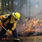 Incendios forestales en Moris, Chihuahua, han consumido casi 300 hectáreas sin atención en una semana. La Conafor alerta sobre el daño ambiental.