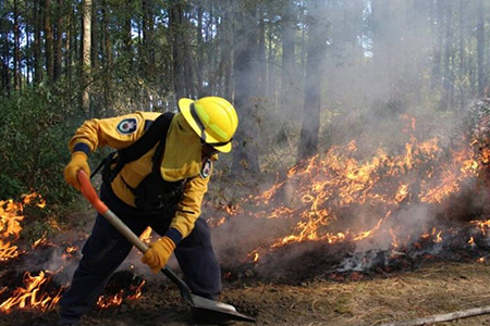 Incendios forestales en Moris, Chihuahua, han consumido casi 300 hectáreas sin atención en una semana. La Conafor alerta sobre el daño ambiental.