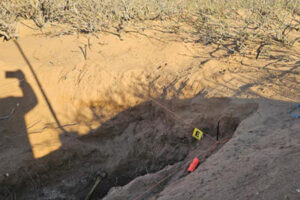 En Ascensión, Chihuahua, localizan 12 osamentas en 11 fosas clandestinas. Autoridades investigan identidades y causas de muerte tras el hallazgo durante un operativo en las brechas Buena Vista y La Salada.