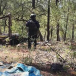 Operativo conjunto en Madera localiza y destruye un campamento utilizado por una célula criminal. Autoridades refuerzan patrullajes en la región.