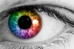 El ojo humano solo percibe una pequeña fracción de colores. Descubre los tonos fuera del espectro visible, como ultravioleta e infrarrojo, y por qué no podemos verlos.