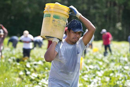 La SRE refuerza asistencia a mexicanos en Carolina del Norte tras la entrada en vigor de la ley HB10, que podría generar perfilamiento racial y discriminación.