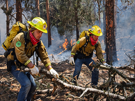 El 35 Batallón de Infantería aplica el Plan DN-III-E para sofocar incendios en el Ejido La Norteñita, Madera. El fuego ha afectado pastizales y arbustos, y el Ejército trabaja intensamente para contener el daño. La Sedena refuerza la protección ambiental en Chihuahua.