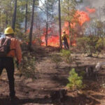 Dos incendios forestales mantienen en alerta a Chihuahua. La Conafor reporta que 22 brigadistas trabajan para controlar las llamas en Guachochi y Bocoyna. Se han afectado varias hectáreas de vegetación.