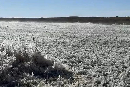 Chihuahua registra temperaturas congelantes en 37 municipios. Gómez Farías lidera con -10.2°C. La CEPC recomienda precaución, abrigarse bien y reportar a personas vulnerables para su traslado a refugios.