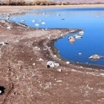 Las autoridades confirmaron un brote de gripe aviar en la Laguna Fierro, Nuevo Casas Grandes. Se ha emitido una alerta sanitaria para evitar el contacto con aves afectadas y prevenir contagios.