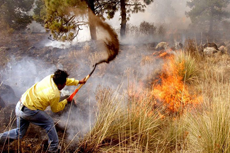 Dos incendios forestales en Chihuahua, ubicados en Guadalupe y Calvo y Guachochi, están próximos a ser extinguidos tras afectar 169 hectáreas.