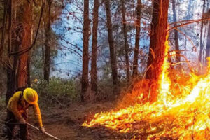 Incendios forestales en Chihuahua afectan 90 hectáreas. Dos liquidados y dos activos en El Tule y San Carlos, con avances en su control, según Conafor. Llaman a la prevención en zonas vulnerables.