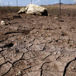 La crisis de sequía en Chihuahua se agrava en 2025, con niveles críticos en las presas. Las autoridades prevén que no habrá ciclo agrícola debido a la falta de agua, afectando a la población y la agricultura.