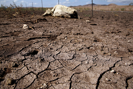 La crisis de sequía en Chihuahua se agrava en 2025, con niveles críticos en las presas. Las autoridades prevén que no habrá ciclo agrícola debido a la falta de agua, afectando a la población y la agricultura.