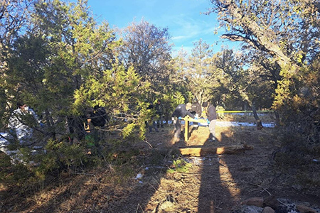 Este 21 de enero, se localizaron dos cuerpos y ocho osamentas en la sierra de Casas Grandes, Chihuahua. Autoridades y expertos trabajan en el lugar, resguardado por el Ejército Mexicano, tras el hallazgo de una fosa con cuatro cuerpos desmembrados días antes.