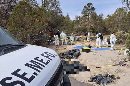 La Fiscalía General del Estado trabaja en la identificación de cuerpos localizados en fosas clandestinas en “El Willi”, Casas Grandes. Se han encontrado 19 cuerpos en operativos recientes.