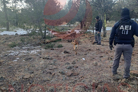 Encuentran cuatro cuerpos desmembrados en una fosa clandestina en Casas Grandes. Autoridades trabajan en la identificación de las víctimas, dos de las cuales podrían ser de desaparecidos recientes.