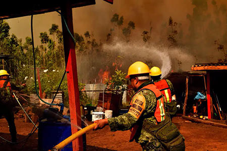 La presidenta Claudia Sheinbaum anunció el envío de un grupo de ayuda humanitaria a Los Ángeles, California, para combatir los incendios forestales en la región. Esta acción reafirma el compromiso de México con la solidaridad internacional y el apoyo a otros países en situaciones de emergencia.