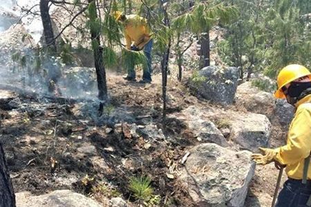 Tras controlar un incendio en Madera, surge otro en Urique, Chihuahua. La Conafor reporta diez hectáreas afectadas y un 40% de control.