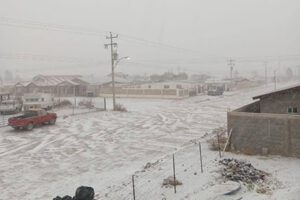 Nevadas y heladas afectan a 17 municipios en Chihuahua. La CEPC informa sobre cierres de carreteras y refugios habilitados para quienes lo necesiten. Se aconseja precaución al circular.