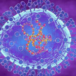 El metapneumovirus humano causa infecciones respiratorias leves y graves. Descubre qué es, cómo se contagia y cómo prevenirlo con medidas simples.