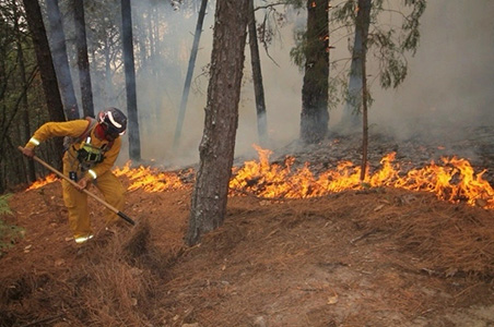 Siete incendios forestales en Chihuahua han afectado 95 hectáreas. Más de 90 brigadistas trabajan en su contención en la Sierra Tarahumara.