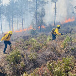 La Conafor reporta siete incendios forestales activos en Chihuahua. ¿Cuáles son los municipios afectados? ¿Cuántas hectáreas han sido consumidas por el fuego? Te damos todos los detalles sobre esta emergencia ambiental y cómo puedes ayudar a prevenir incendios forestales.