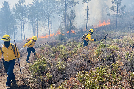 La Conafor reporta siete incendios forestales activos en Chihuahua. ¿Cuáles son los municipios afectados? ¿Cuántas hectáreas han sido consumidas por el fuego? Te damos todos los detalles sobre esta emergencia ambiental y cómo puedes ayudar a prevenir incendios forestales.