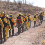 La Secretaría de Desarrollo Rural y Conafor inician capacitaciones del Programa Manejo del Fuego 2025 en Chihuahua. Brigadistas y voluntarios reciben formación teórica y práctica para combatir incendios forestales.