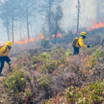 Chihuahua registra dos incendios forestales activos en Madera y Bocoyna, con 8 hectáreas afectadas. La Conafor reporta un 10% de control en Madera y 30% en Bocoyna.