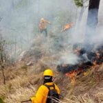 Más de 70 combatientes trabajan en sofocar cuatro incendios forestales en Chihuahua, afectando 156 hectáreas en Guadalupe, Calvo, Guachochi y Bocoyna.