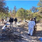 El hallazgo de fosas clandestinas en Chihuahua revela una grave crisis humanitaria. Con 76 cuerpos encontrados, la búsqueda de personas desaparecidas cobra urgencia mientras expertos señalan la necesidad de estrategias efectivas contra la violencia.