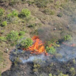 Liquidan incendio forestal en Casas Grandes tras afectar 117 hectáreas. Dos incendios activos permanecen en Chihuahua, en Moris y Ocampo, mientras brigadistas trabajan para controlar los siniestros.