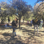 Autoridades hallaron dos cadáveres, dos osamentas y una extremidad cefálica en la sierra de Casas Grandes. La Fiscalía continúa con la investigación en la zona de El Willy, donde se han localizado más fosas clandestinas.