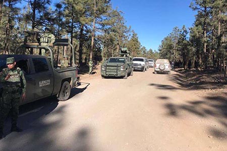 Un campamento delictivo fue desmantelado en la sierra de Chihuahua, con la detención de dos hombres y el aseguramiento de armamento.