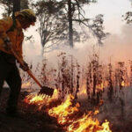 Chihuahua registra seis incendios forestales activos, afectando más de 67 hectáreas en la Sierra Tarahumara. Brigadistas trabajan en su liquidación, con un alto porcentaje de control en la mayoría.