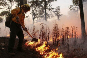 Chihuahua registra seis incendios forestales activos, afectando más de 67 hectáreas en la Sierra Tarahumara. Brigadistas trabajan en su liquidación, con un alto porcentaje de control en la mayoría.