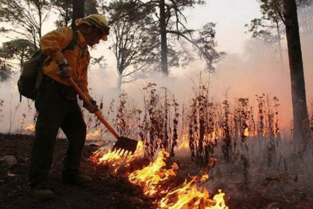 Chihuahua registra seis incendios forestales activos, afectando más de 67 hectáreas en la Sierra Tarahumara. Brigadistas trabajan en su liquidación, con un alto porcentaje de control en la mayoría.