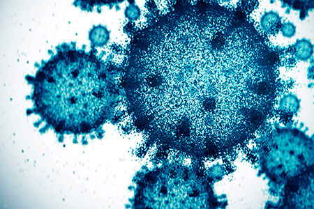 La Secretaría de Salud reporta 11 casos de Covid-19, 78 de influenza y mil 383 de neumonías en Chihuahua hasta febrero 2025. Ciudad Juárez y Chihuahua lideran en infecciones respiratorias con 73 mil casos.