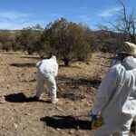 La Fiscalía de Chihuahua ha recuperado 81 cuerpos de fosas clandestinas en Nuevo Casas Grandes y Ascensión, atribuidas al grupo delictivo 'La Línea'. Las operaciones en El Willy han revelado 70 cuerpos, y la búsqueda continúa en Ascensión.