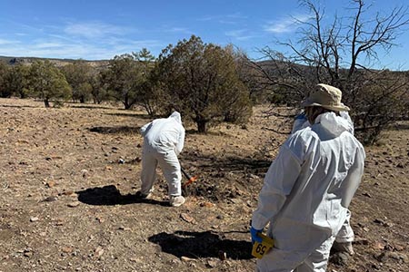 La Fiscalía de Chihuahua ha recuperado 81 cuerpos de fosas clandestinas en Nuevo Casas Grandes y Ascensión, atribuidas al grupo delictivo 'La Línea'. Las operaciones en El Willy han revelado 70 cuerpos, y la búsqueda continúa en Ascensión.