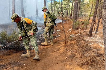 El 35 Batallón del Ejército Mexicano aplica el Plan DN-III-E para combatir un incendio forestal en el Ejido Largo Maderal, Madera.