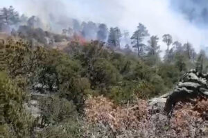 Chihuahua enfrenta 12 incendios forestales activos; el de Casas Grandes es el más extenso con 3,806 hectáreas afectadas y solo 40% de control