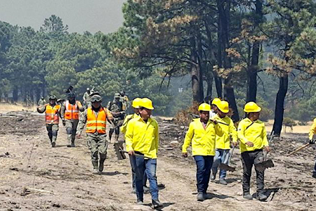 Chihuahua enfrenta 15 incendios forestales activos; 344 brigadistas trabajan para controlarlos. Conoce los municipios afectados.