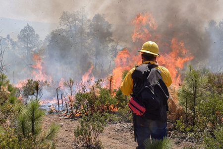 Brigadistas de Casas Grandes y Janos recibieron capacitación para combatir incendios forestales. El entrenamiento incluyó simulaciones y ejercicios tácticos.