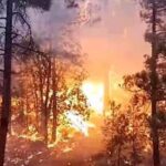 El Comité Estatal de Manejo de Fuego coordina esfuerzos para combatir 12 incendios forestales en 8 municipios de Chihuahua. Participan Conafor, SEDENA y Protección Civil.