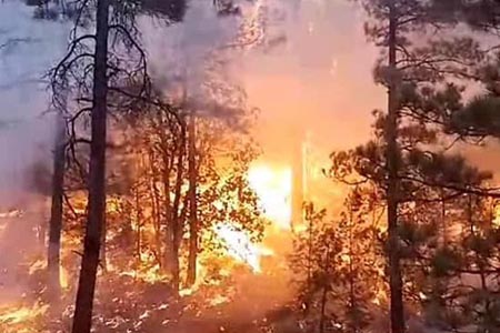 El Comité Estatal de Manejo de Fuego coordina esfuerzos para combatir 12 incendios forestales en 8 municipios de Chihuahua. Participan Conafor, SEDENA y Protección Civil.