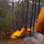 Un total de 124 brigadistas trabajan en Ciudad Madera, Chihuahua, para controlar los incendios forestales activos. Colaboran autoridades estatales, federales y la comunidad local. Conoce cómo se protegen los bosques y las familias de la región.